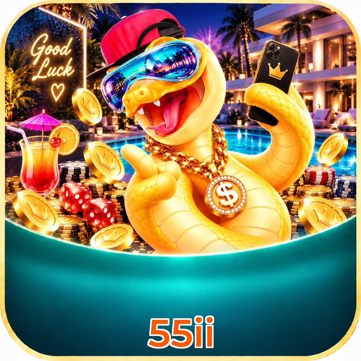 55ii App FAQ
