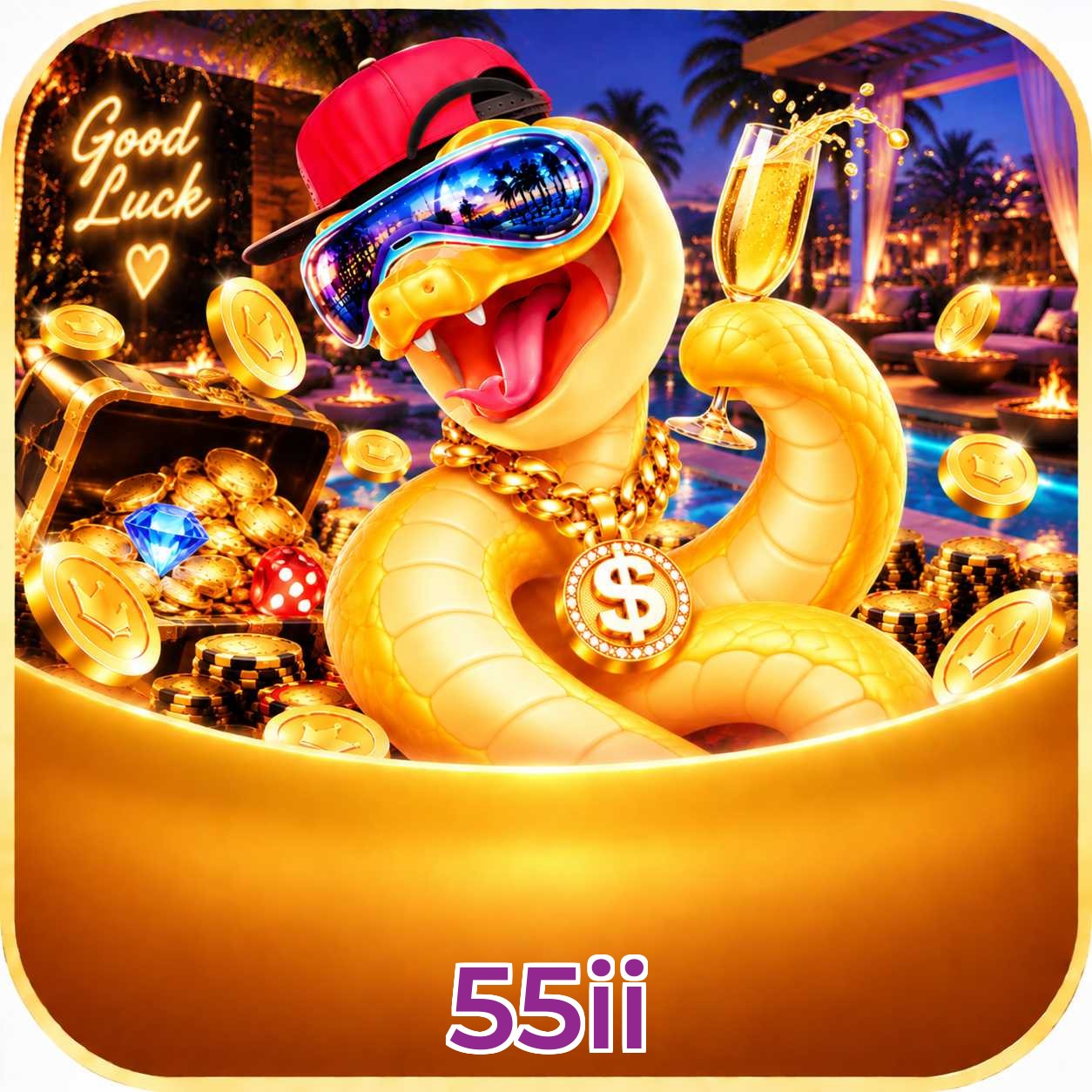 55ii Win FAQ